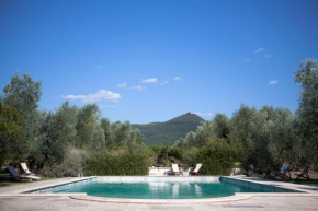 Agriturismo Tra gli Ulivi, Chiappini Winery
